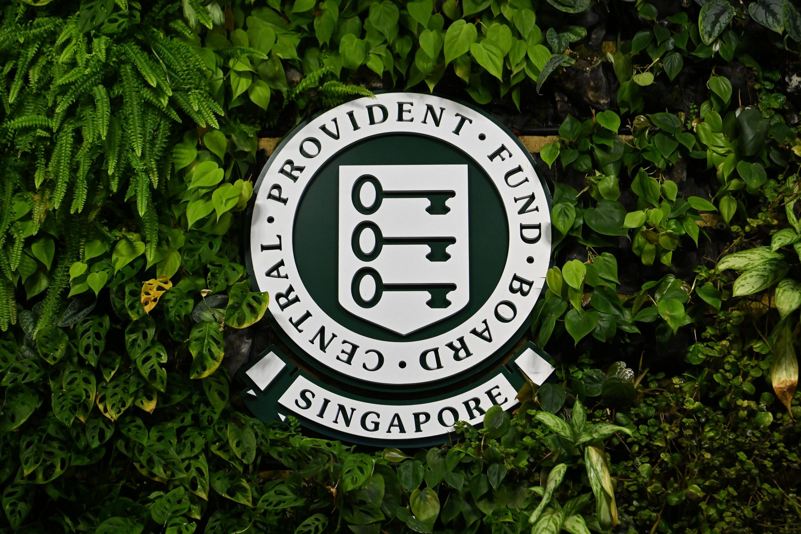 Some Thoughts on the Closure of the CPF Special Account